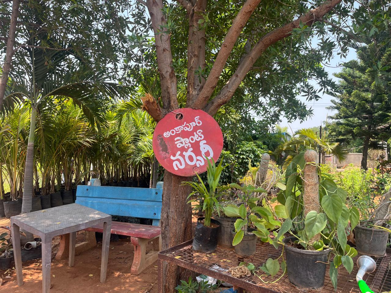 Nursery